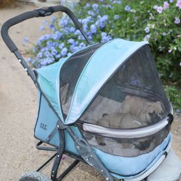 French Bulldog Puppies from Camp Fine Frenchies