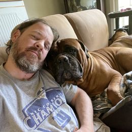 Bullmastiffs and Shetland Sheepdogs from RCS Kennels