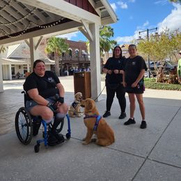 Golden Retriever Puppies from Hope Service Dogs, Inc