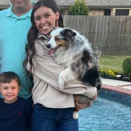 Toy Australian Shepherd Puppies from B&B Toy Aussies