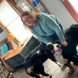 Bernese Mountain Dog Puppies from Lonesome Pine Farm