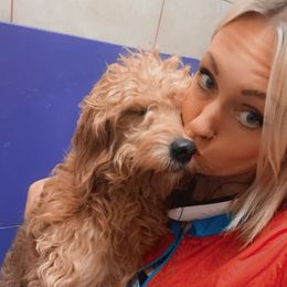 Rowena - Goldendoodle