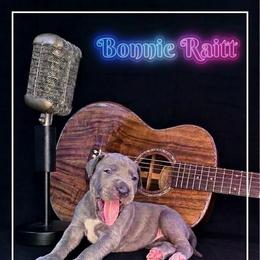 Bonnie - Blue female Great Dane puppy in Altoona, Alabama from Sovereignty Woods Great Danes