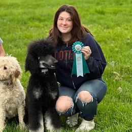 Goldendoodles, Golden Retrievers, and Poodles from Oregon's Oodles of poodles & doodles