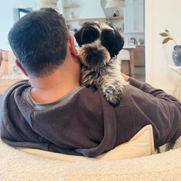 Snoop - Black male Australian Labradoodle puppy in Nashville, Tennessee from SF Australian Labradoodles