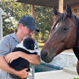 Border Collie Puppies from Sage Ridge