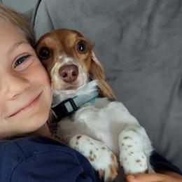 Dachshunds from Melissa Woodard