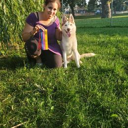 Honey - Siberian Husky