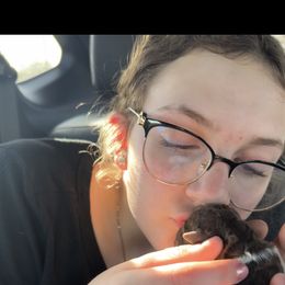 Lagotto Romagnolo Puppies from Anna’s Lagottos