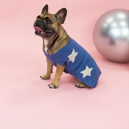 Nugget - French Bulldog