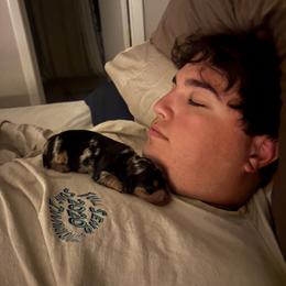 Dachshund Puppies from Mini Dachshund Duo Pups