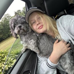 Shih Tzu All Grown Up from Delinda Shih Tzus