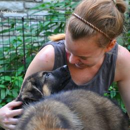 German Shepherd Puppies from von Nadar German Shepherds