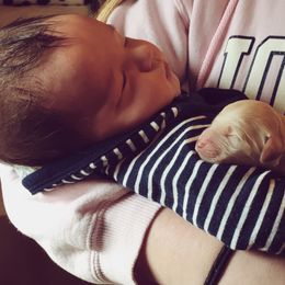 Goldendoodle Puppies from Luneckas Litters