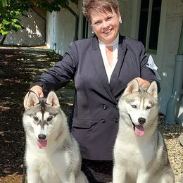 Siberian Huskies from Dreamscape Siberians