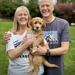 Lucky Country Ruby Rose - Red female Australian Labradoodle puppy in Wake Forest, North Carolina from Lucky Country Labradoodles