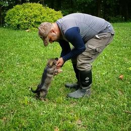 German Shepherd Puppies from Cintron K9