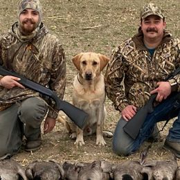Labrador Retrievers from Heather Perate's Labrador Retrievers