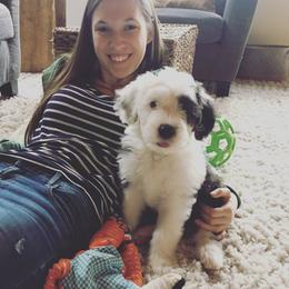 Old English Sheepdog Puppies from Ridgeruns OES