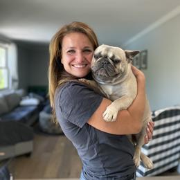 French Bulldog All Grown Up from Sweet P Frenchies
