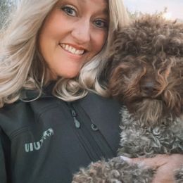 Lilo - Lagotto Romagnolo