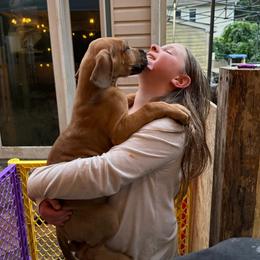 Pecorino - Fawn male Great Dane puppy in Medford, New York from Alchemy Danes