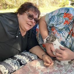 Whippet Puppies from PyneTree Whippets