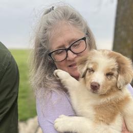 Hazel - Red merle Australian Shepherd puppy in Sedalia, Missouri from Strollins Farm