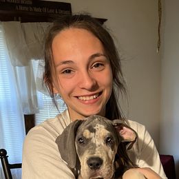 Great Dane Puppies from BkB’s House of Danes