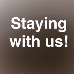 AKC Honeybee - Chocolate and tan female Dachshund puppy in Indiana from Dani’s Darling Doxies