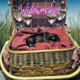 German Shepherd Puppies from Shepherd's Watch