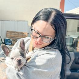 Chic - Blue French Bulldog puppy in Redlands, California from You Winnie Some (Winnie's Blues & Lilacs)