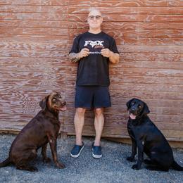 Labrador Retriever All Grown Up from Luxury Labradors