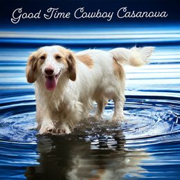 Casanova - Dachshund