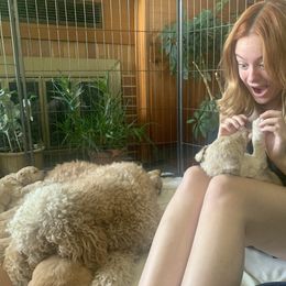 Goldendoodle Puppies from Columbia River Doodles