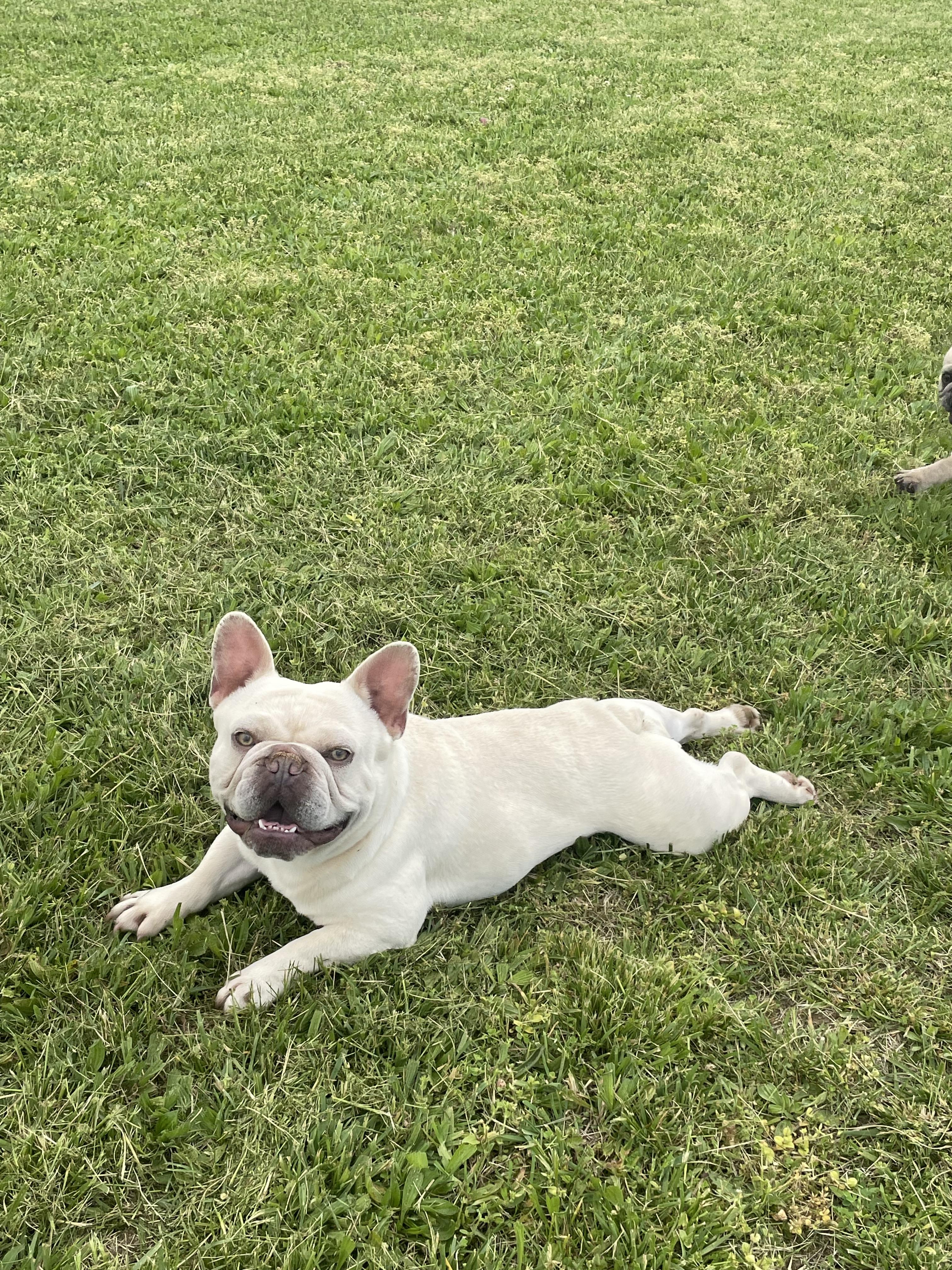 Unnamed