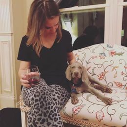 Weimaraner Puppies from North Georgia Weims