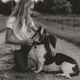 Basset Hounds from Shauna Jones Family Basset Hounds