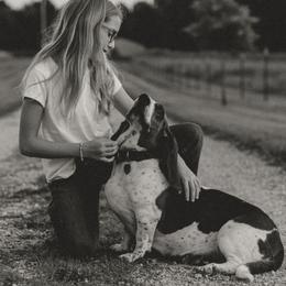 Basset Hounds from Shauna Jones Family Basset Hounds