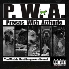 Perro de Presa Canarios from Presas With Attitude