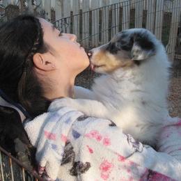 Collie Puppies from Castlebar Collies