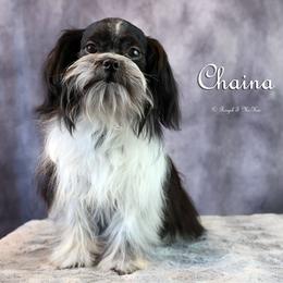 Chaina - Mi-Ki