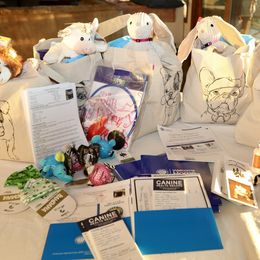 French Bulldog Puppies from Camp Fine Frenchies