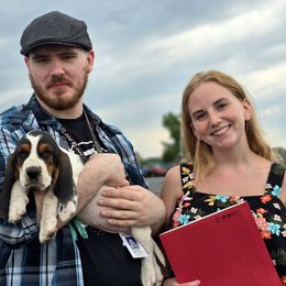 Zimmer (Red) - Black white and brown female Basset Hound puppy in Lebanon, Ohio from Golden Acres Dachshunds and Bassets
