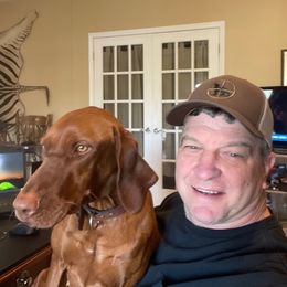 Vizsla All Grown Up from PRP Vizslas