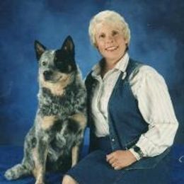 Australian Cattle Dog All Grown Up from Devon’s ACDs
