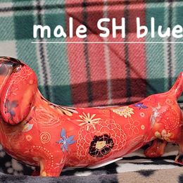 Dachshund Puppies from Briarwood Dachshunds