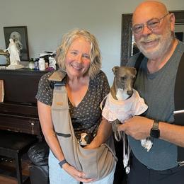 Italian Greyhound Puppies from WAHLTOWAHLIGGYS