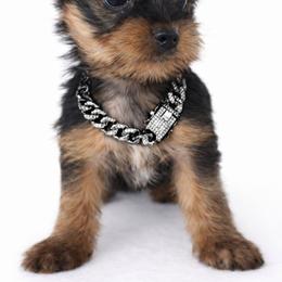 Bonita - Black and tan female Yorkshire Terrier puppy in North Huntington, Pennsylvania from Charz Dollz