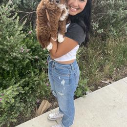Bernedoodle and Goldendoodle Puppies from Hello Doodle Ranch